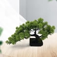 thumbnail image 1 of Árbol de simulación Macarena Bonsái de simulación, 1 of 8