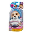 thumbnail image 3 of OMG PETS BEAGLE - Beega, 3 of 6