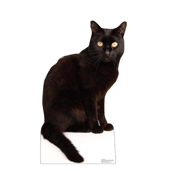 Cardboard People Black Cat Life Size Cardboard Cutout Standup - Made in USA