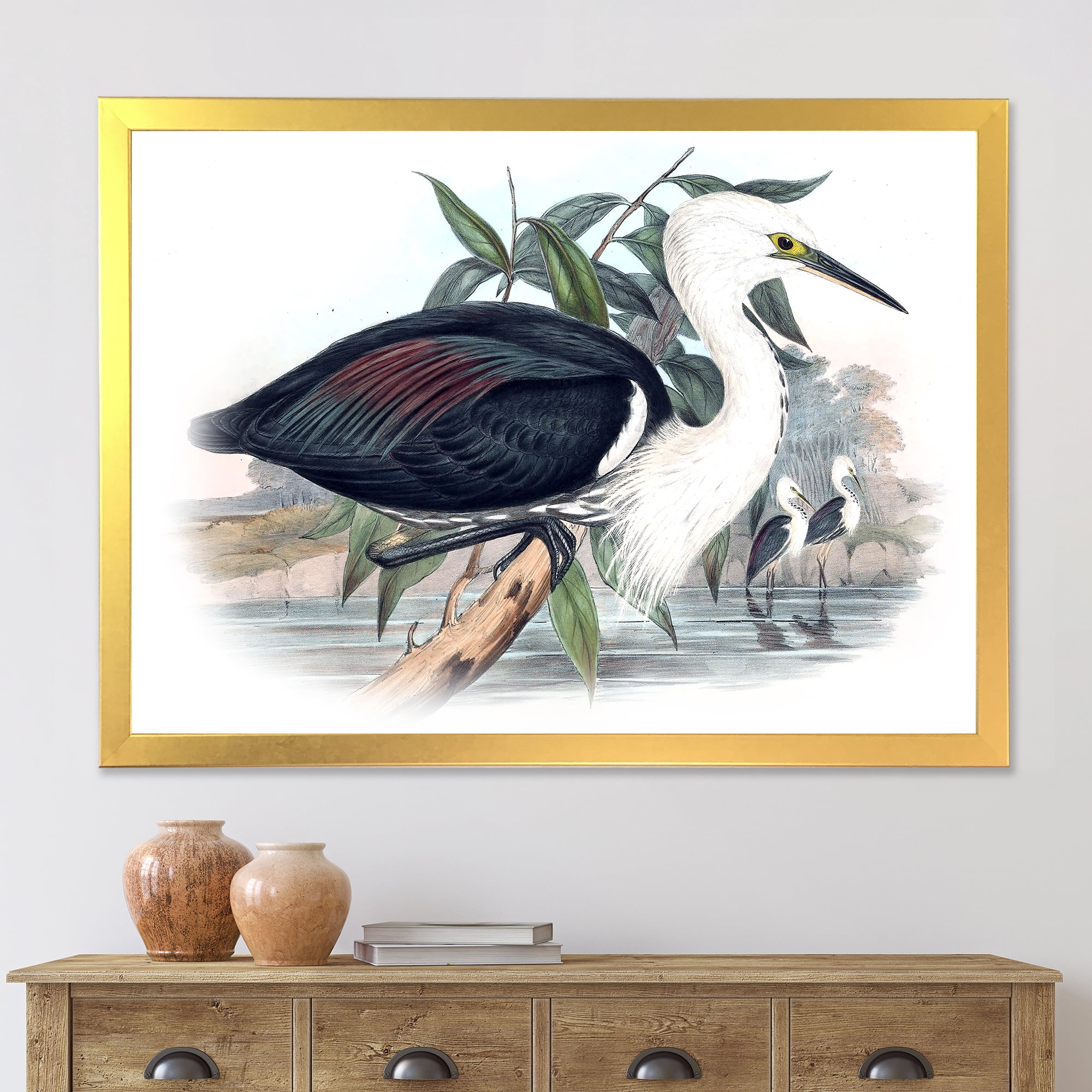 Designart 'Ancient Birds Of Australia' Traditional Framed Art Print