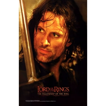 - Lord of the Rings Fellowship of the Ring Movie Poster (11 x 17)