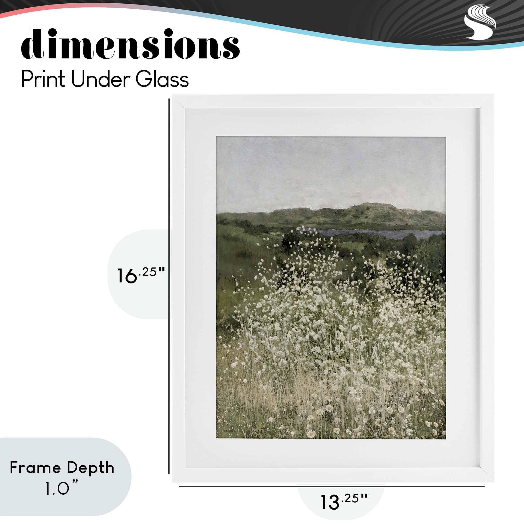 Stupell Industries Sunlit Meadow of White Daisies White Framed Print Under Glass, design by Amber Sterling