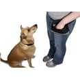 thumbnail image 4 of PetSafe Treat Pouch Sport- Durable, Convenient Dog Training Accessory, standard, Cadet Blue, 4 of 4
