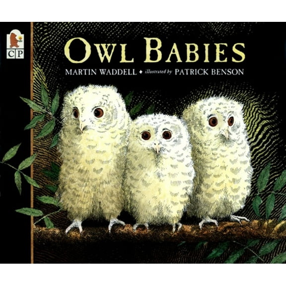 Owl Babies, (Paperback)