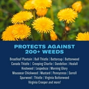 Bayer Advanced Season Long Weed Killer for Lawns Concentrate