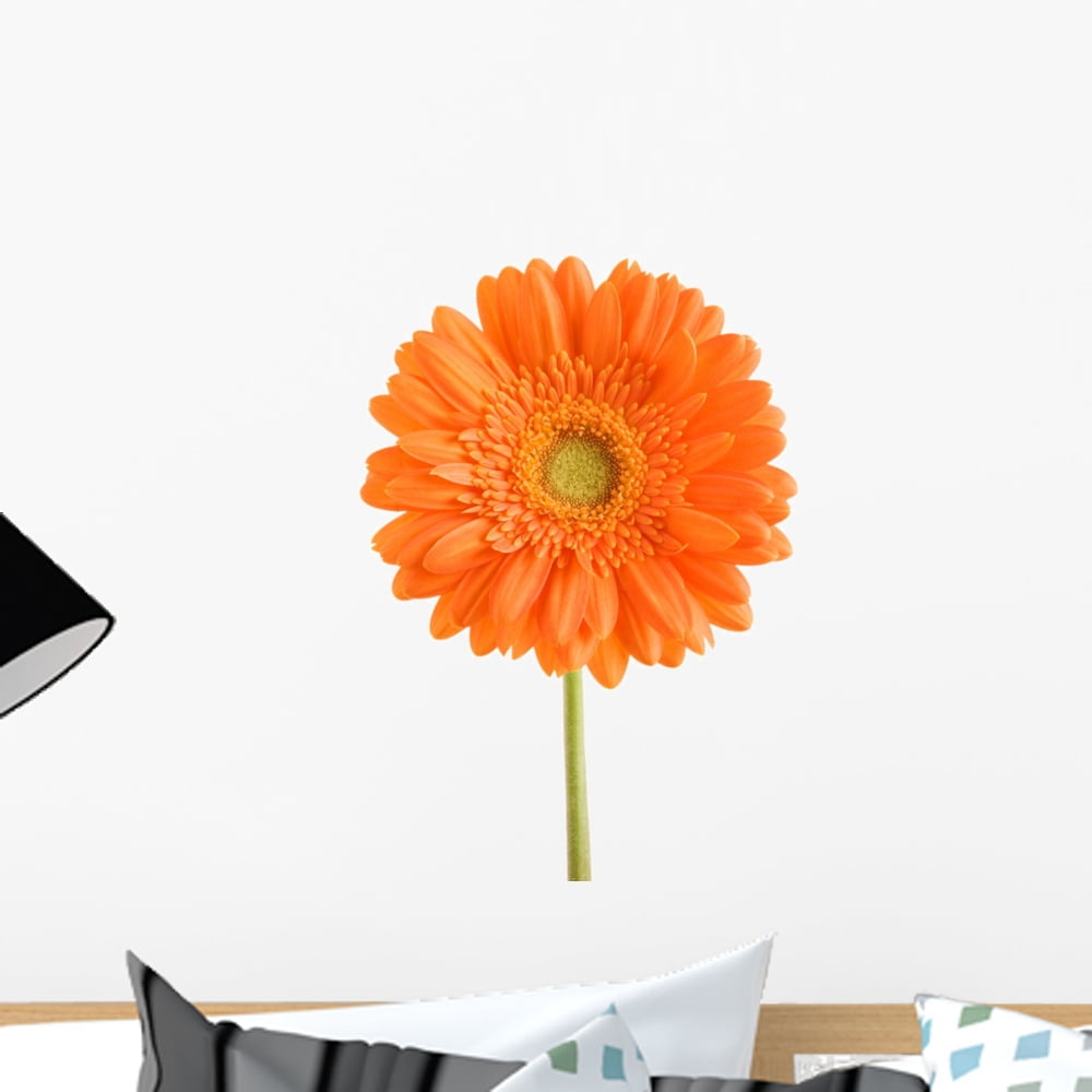 Orange Flower Wall Decal Sticker by Wallmonkeys Vinyl Peel and Stick