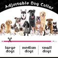 thumbnail image 4 of 3 Pcs LED Pet Collar  Light Up Dog Collars  USB Rechargeable Water Resistant  Outdoor Cuttable Glowing Necklace, 4 of 7