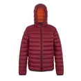 thumbnail image 1 of Regatta Mens Marizion Baffled Hooded Padded Jacket, 1 of 5