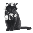 thumbnail image 3 of Conjunto de 2 Piezas para Mascotas - Accesorios Elegantes para Perros y Gatos Negro l, 3 of 9