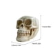 thumbnail image 2 of Adorno de calavera de resina, maceta para plantas suculentas, soporte para macetas de Cactus, decoración de maceta con calavera, 2 of 8