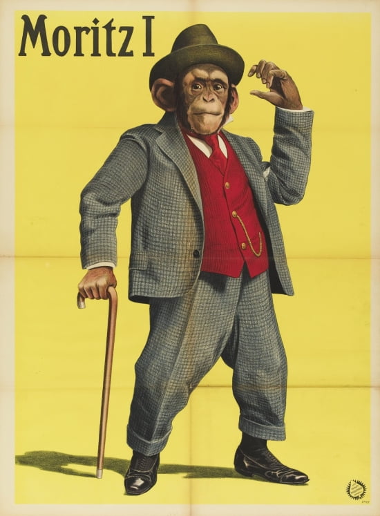 Moritz I Monkey Wearing Suit With Hat 