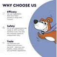 thumbnail image 7 of WONDER PAWS Melatonin for Dogs – Pet Melatonin with L-Theanine (Suntheanine®), 7 of 7