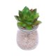 thumbnail image 2 of Pequeñas Macetas Modernas De en apariencia De Maceta Con Mini Plantas Suculentas Artificiales DIY Micro Landscape Decor verde Macarena Plantas Pottiles Artificiales, 2 of 8
