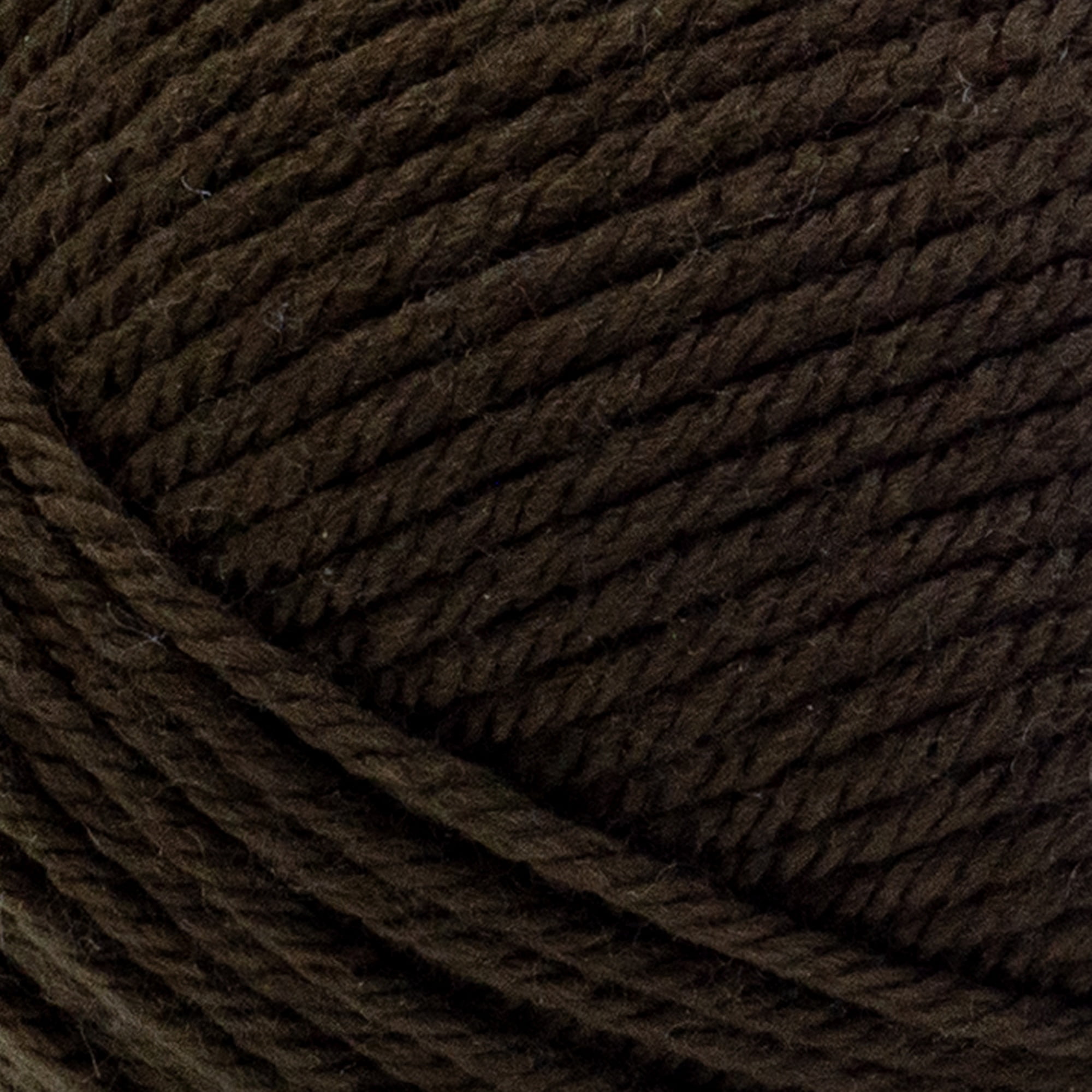Lion Brand Basic Stitch Anti Pilling Yarn Skein Tones Ebony