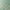 1259#Green, variant on Clearance! Women'S Panties Butt Lifting Panties Women'S Solid Color High Waist Large Version Cotton Leak Proof Conservative Low Waist Physiological Pants Period Panties