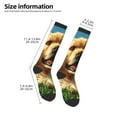 thumbnail image 4 of Fotbe Happy Dog In Flower Field print Women's Men's Novelty Crew Socks Cotton Socks Knee High Socks for Walking,Running,Nurses,Pregnancy, 4 of 8