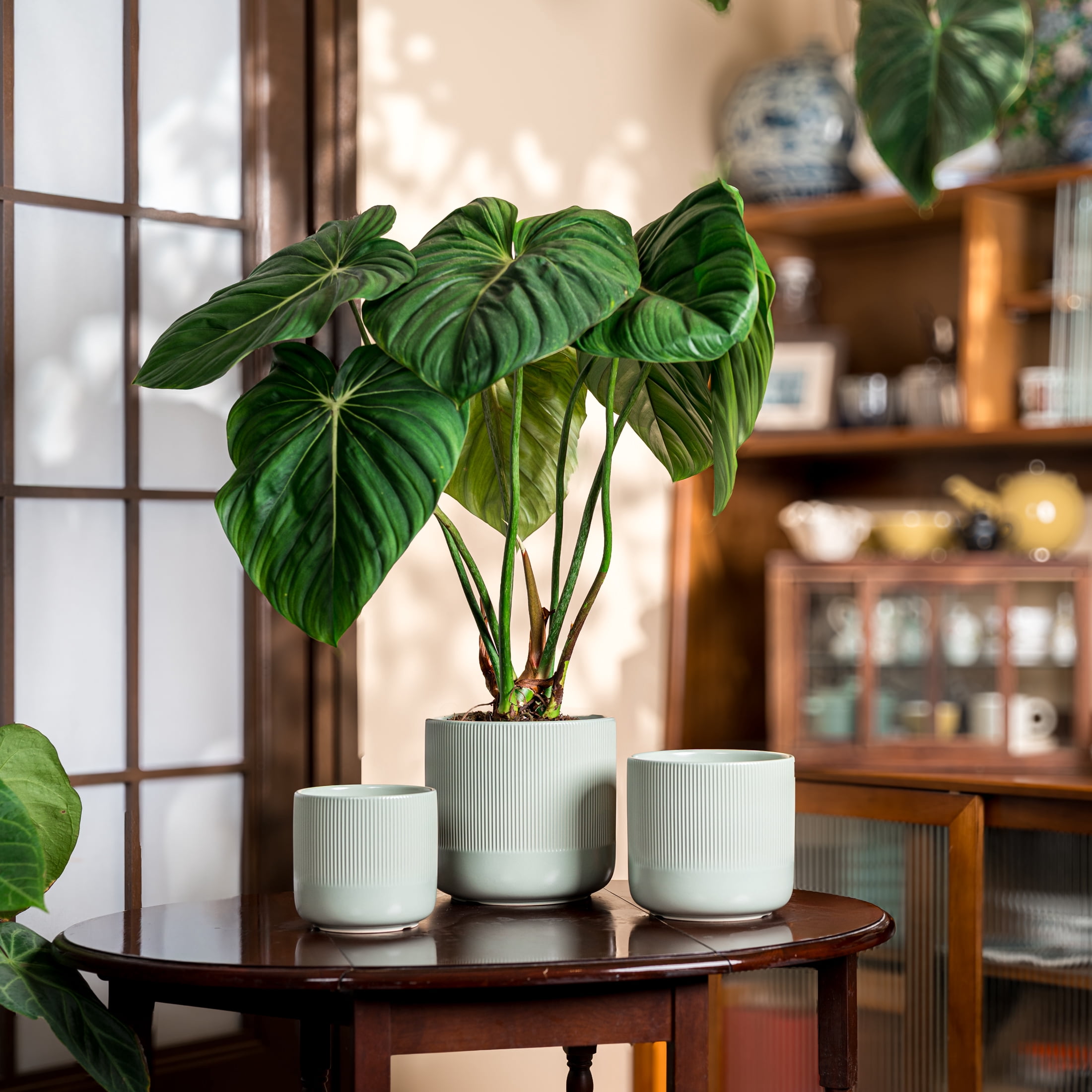 UMIAMOY Cylinder Ceramic Plant Pots,5.8+6.9+8.3 inch Plant Pots with Drainage Holes and Saucer,Set of 3 Ceramic Flower Pots for Indoor Outdoor Decoration,Light Green