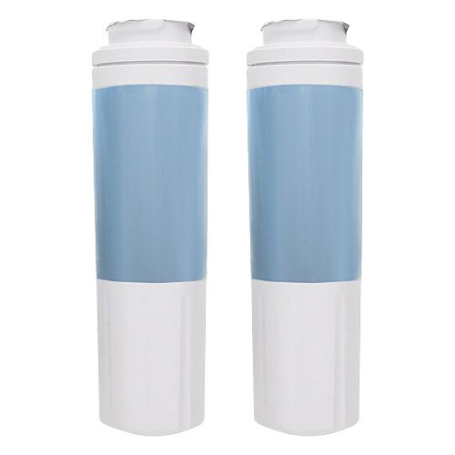 Replacement Water Filter For Bosch 12004484 by Refresh (2 Pack