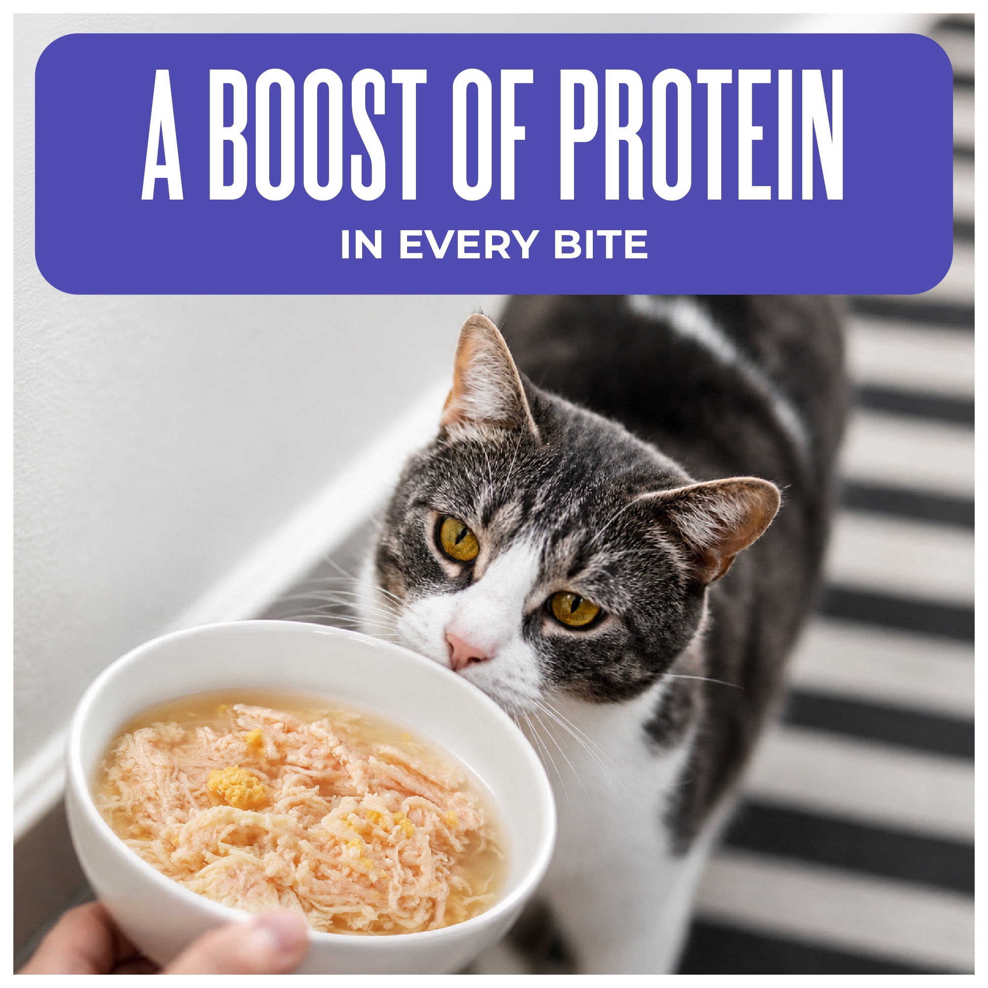 (6 pack) Tiki Cat Born Carnivore Complements Wet Cat Food Topper, Chicken & Egg 2.1 oz. Pouch