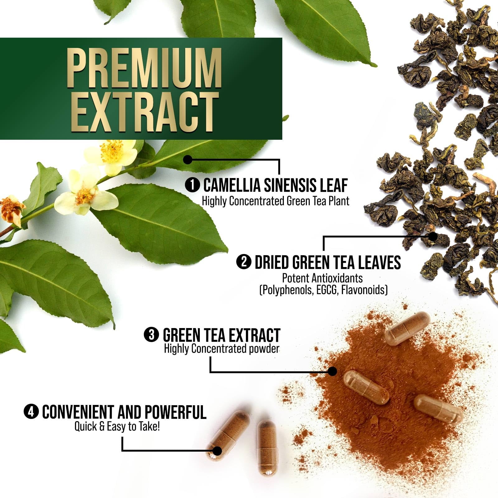 Extrait De Thé Vert 1000 Mg - 98% Polyphénols - 60 Comprimés - Everest Nutrition