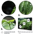thumbnail image 3 of Designart "A Close Up Photo of Ferns V" Floral Art Living Room Set, 3 of 5