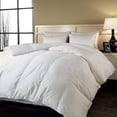 thumbnail image 2 of Blue Ridge Trading Naples 700 Thread Count Cotton Down Alternative Comforter - King, 2 of 2