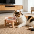 thumbnail image 4 of Leojiow Elevated Ceramic Cat Bowls Vomit Feeder With Stand Non Slip Container For & Puppies One Size Utility, 4 of 4