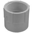 thumbnail image 2 of Charlotte Pipe 4006789 2.5 in. FPT x 2.5 in. Dia. FPT Pipe Adapter, 2 of 3