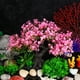 thumbnail image 2 of 1 juego de plantas artificiales de plástico para acuario, realistas, para pecera de tortugas., 2 of 8
