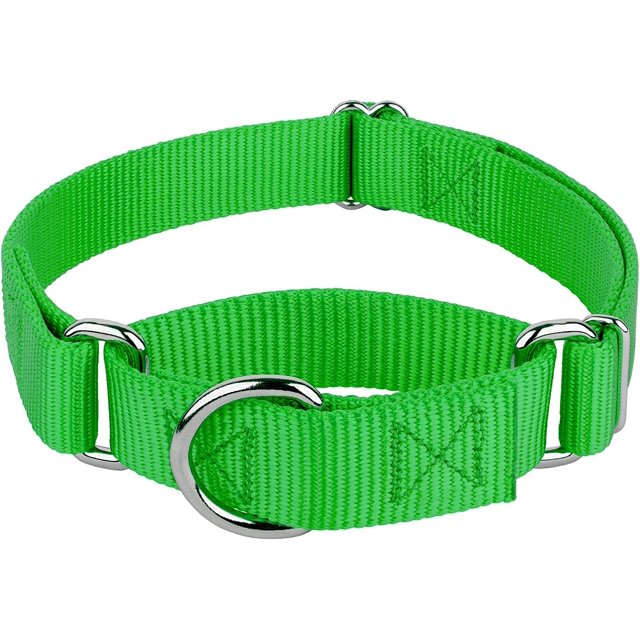 Country Brook Petz Martingale Dog Collar - Heavy-Duty Training Collar with No Buckle - Service Dog Collar for All Pups - Vibrant, Colorful Collection (Hot Green, 1 Inch, Extra Large)