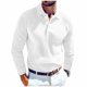 thumbnail image 2 of pstuiky camisas de manga larga para hombre, Top informal holgado de color liso con medio botón y solapa de manga larga para hombre camisetas de hombre l, 2 of 8