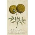 thumbnail image 2 of Unknown 16x24 Gold Ornate Wood Framed with Double Matting Museum Art Print Titled - Gardeners Guide V, 2 of 4