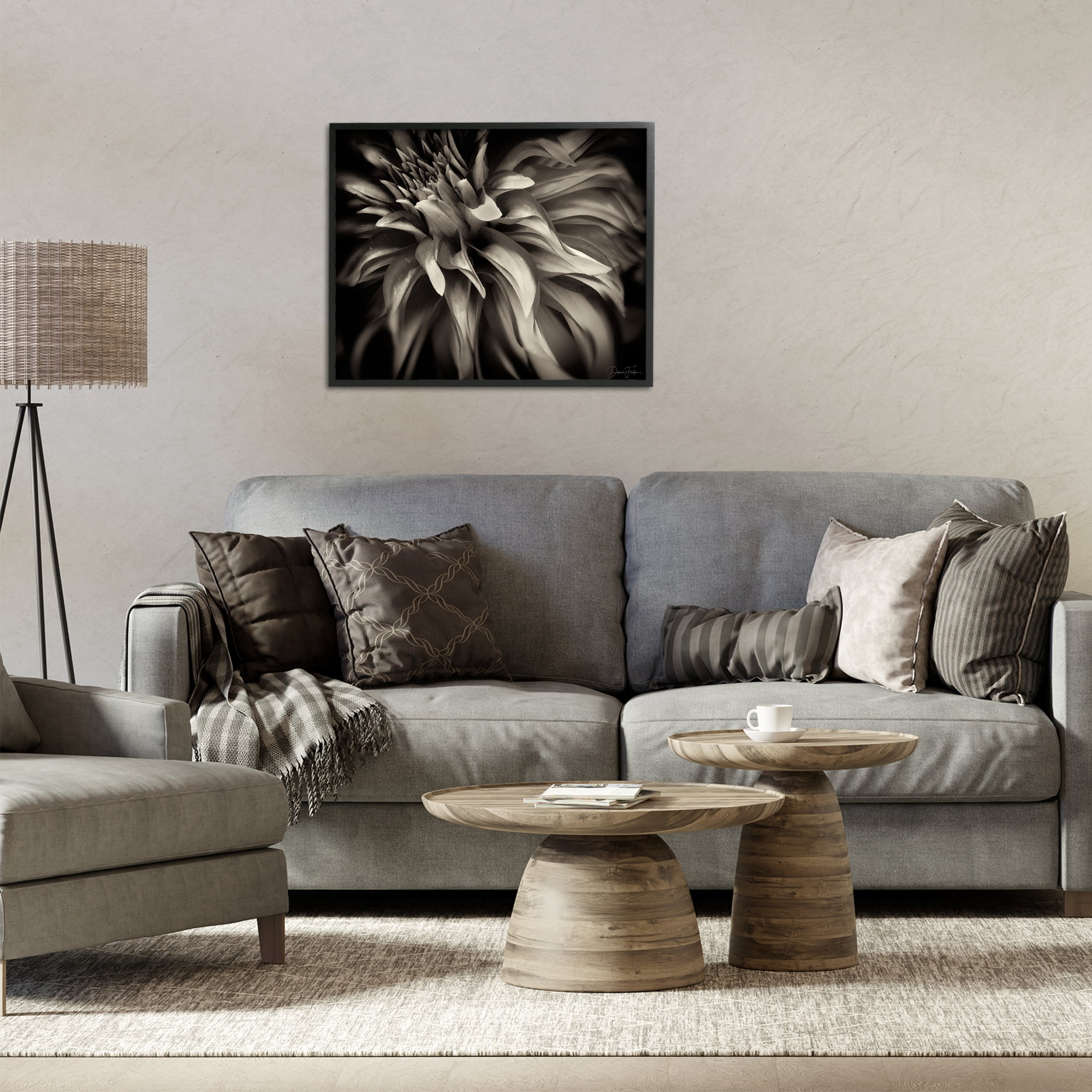 Stupell Industries Dark Curling Chrysanthemum Botanical & Floral Photography Black Framed Art Print Wall Art, 30 x 24