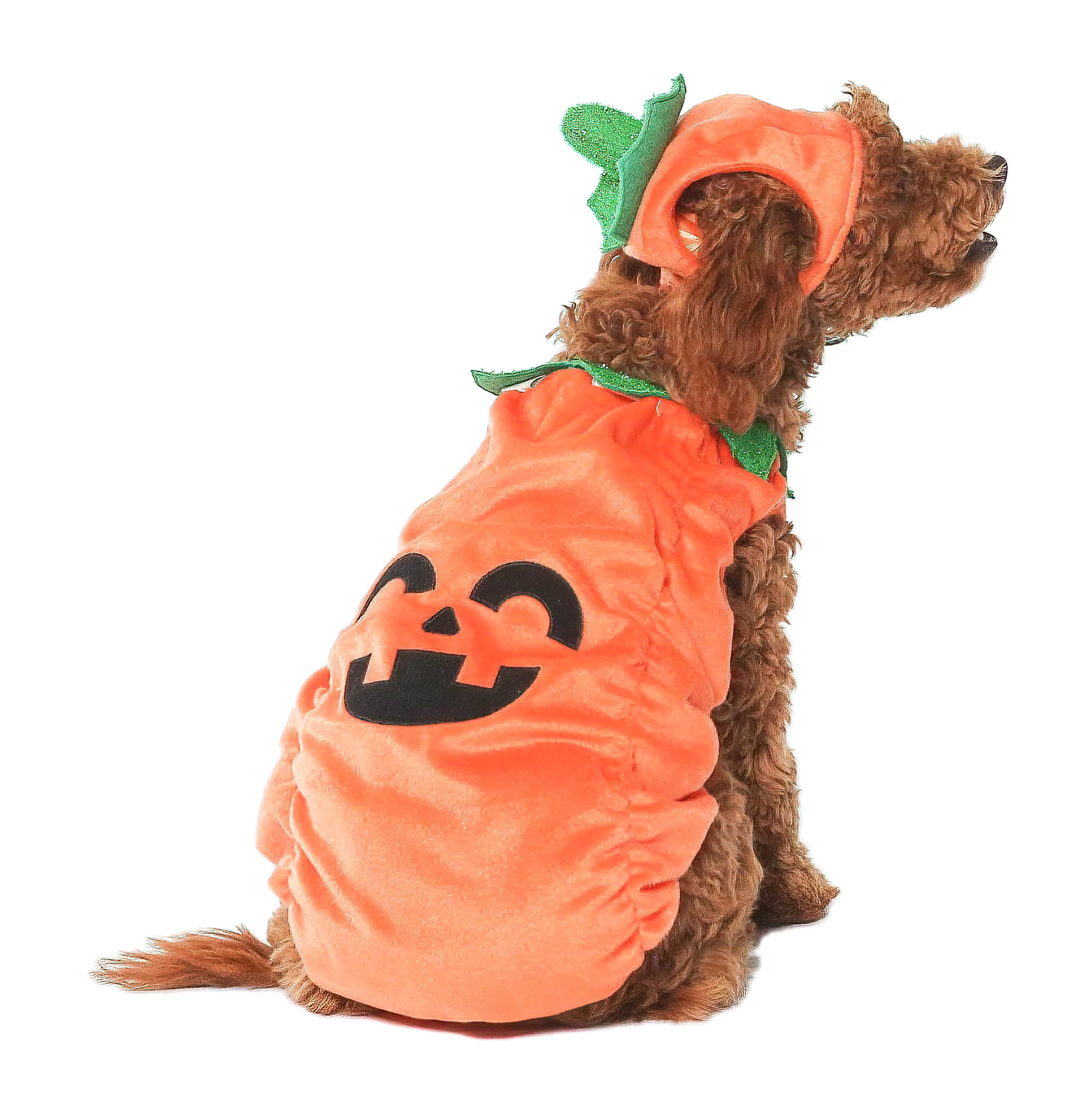 Vibrant Life Vl Hw Costume Pumpkin Small