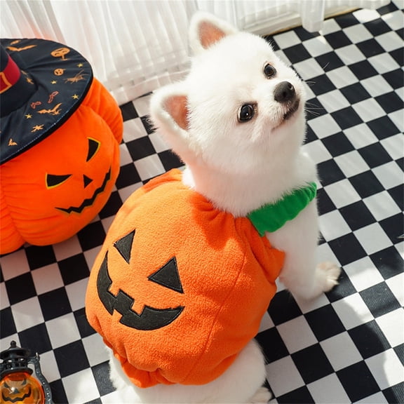 Halloween Pumpkin Pet Costume for Dogs and Cats, Funny Jack O Lantern Character Outfit for Spooky Parties, Costume Photos, Cosplay Events and Seasonal Fall Celebrations