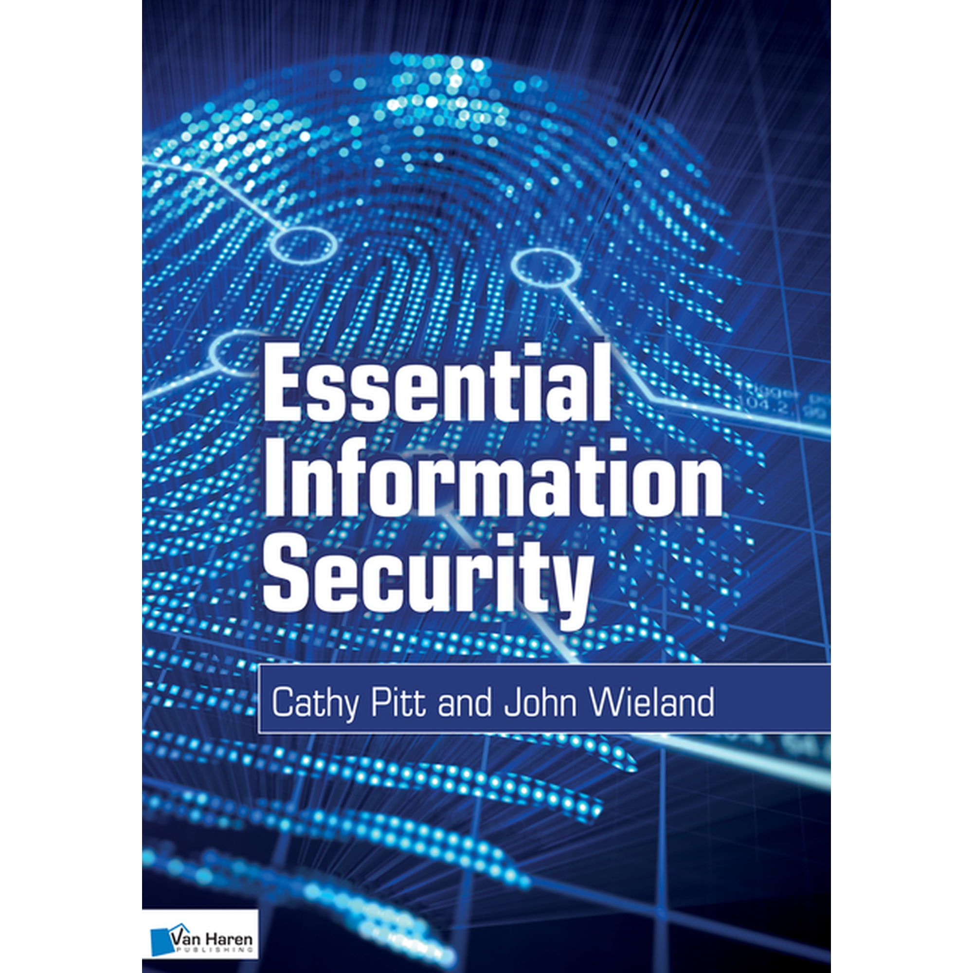 Essential Information Security (Paperback)