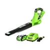 Discontinued - Greenworks 24V 135 CFM Cordless Leaf Blower with 2.0 Ah Battery and Charger, 24352