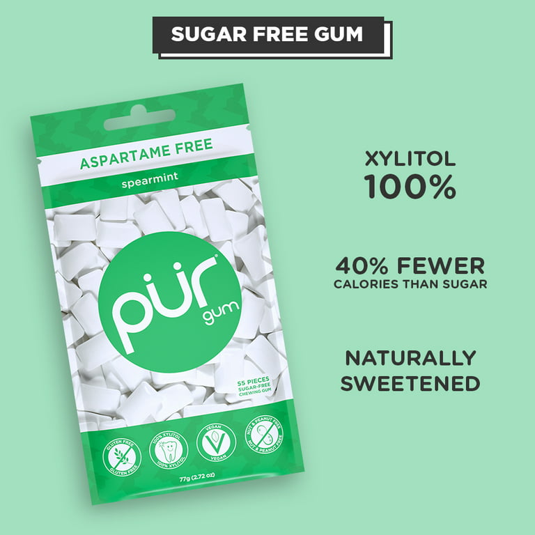 Pur Chewing Gum Spearmint Piece Bag 1 ct
