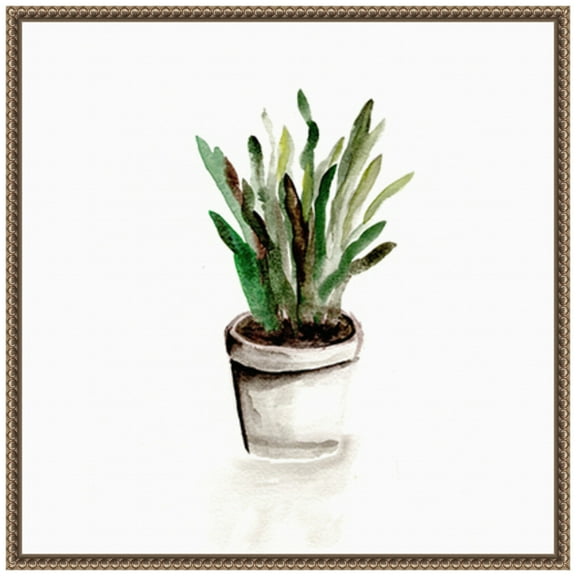 Amanti Art Potted Botanicals III Framed Canvas Wall Art Print
