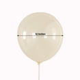 thumbnail image 3 of Efavormart 50 Pack Clear Biodegradable Balloons, Eco-friendly Thickened Extra Strong Latex Helium Party Balloons - 12", 3 of 10