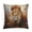 Pattern-2, variant on Artistic Lion Face Pillowcases 16"x16" Wild Animal Lion Head Farmhouse Decorative Throw Pillow Coves Cushion Case Decoration Porch Pillows for Farmhouse Decor Room Bedroom Sofa Chair Car