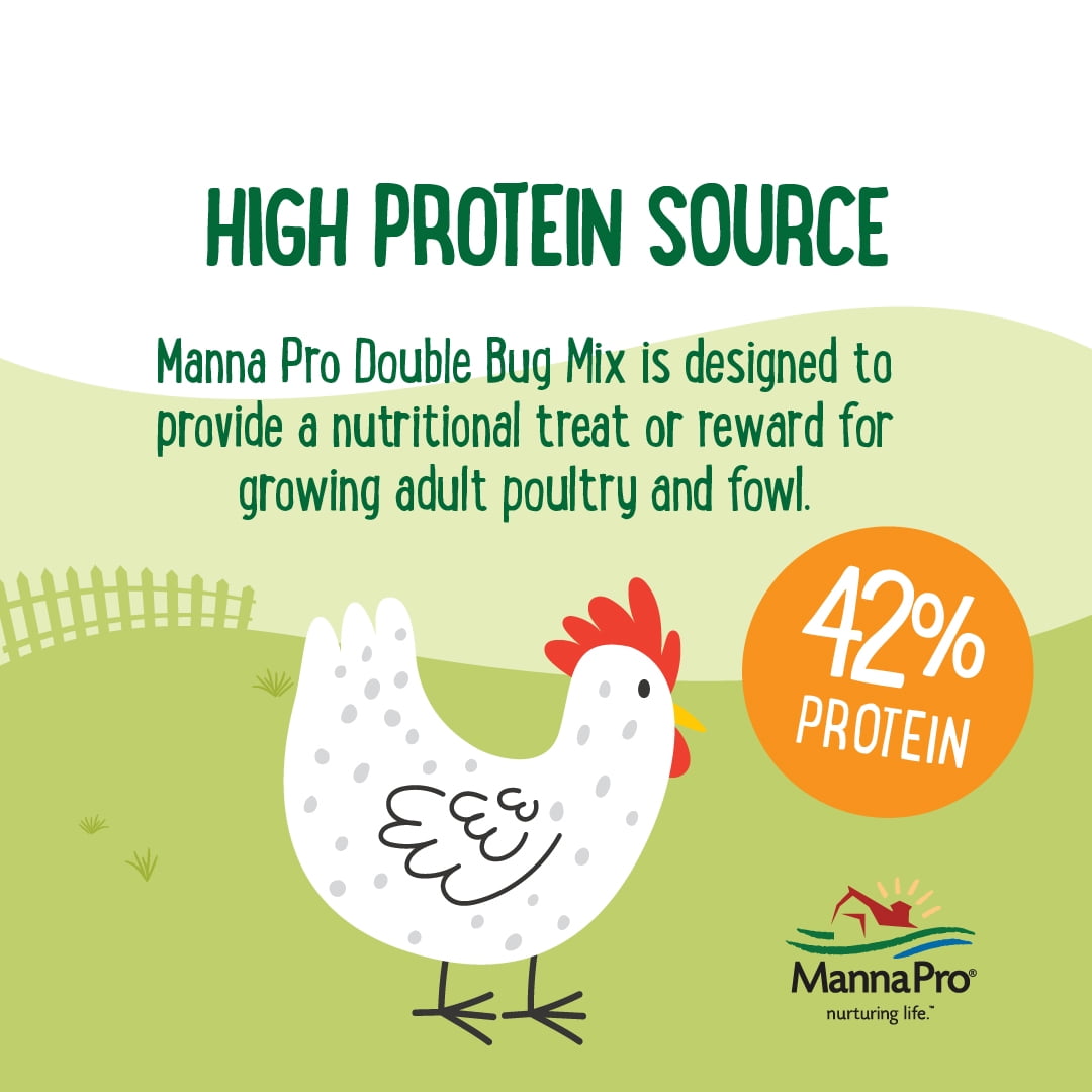 (2 pack) Manna Pro Farmhouse Favorites Chicken Treats - Double Bug Mix - 1 Bag - 2lb