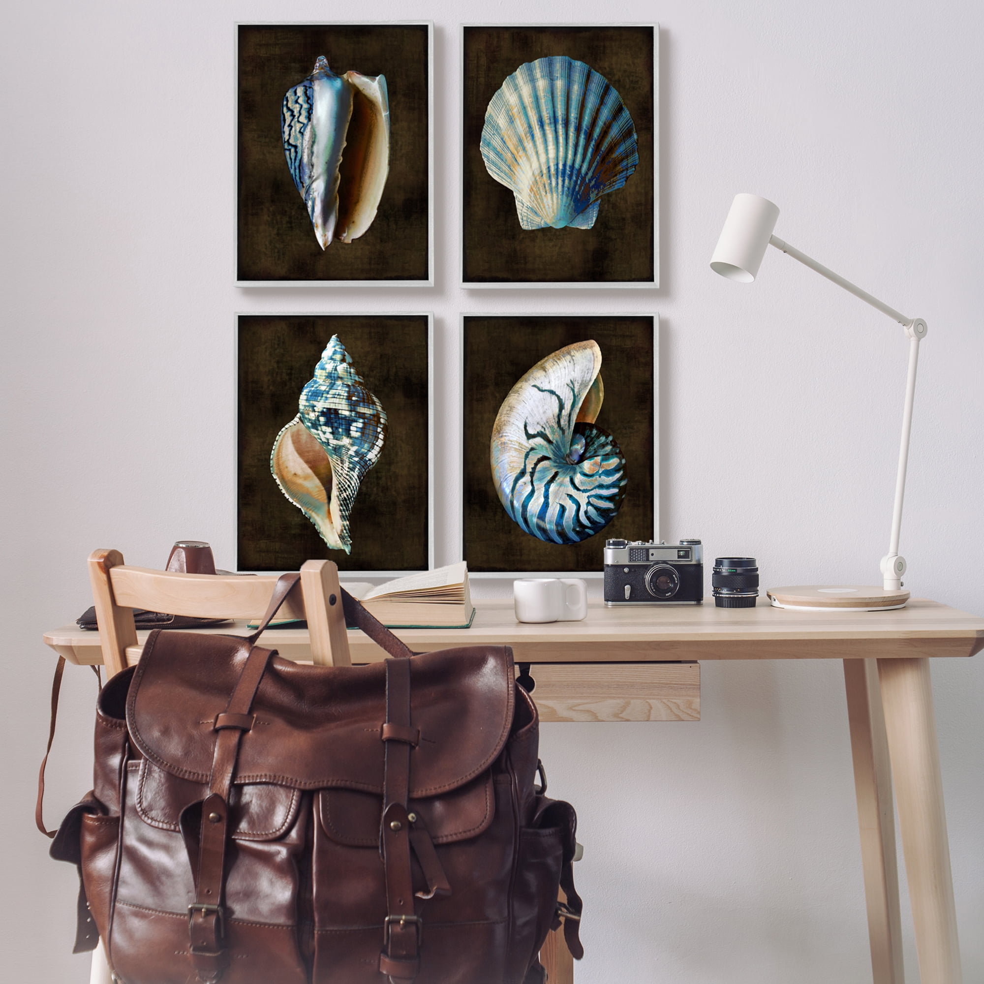 Stupell Industries Dark Maritime Seashells Animals & Insects Painting Gray Framed Art Print Wall Art, 16 x 20, Set of 4