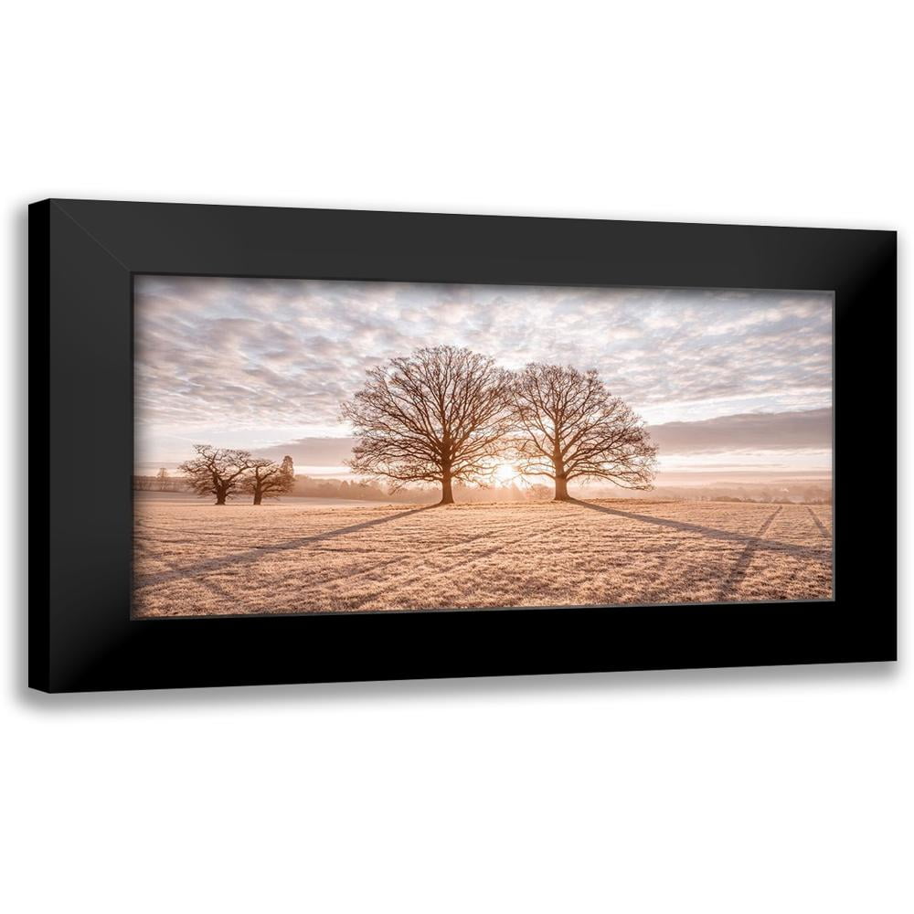 Frank Assaf 14x9 Black Modern Framed Museum Art Print Titled - Trees in meadow
