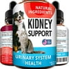Kidney Support for Dogs & Cats - 2oz Pet UTI Medicine - Cranberry, Echinacea, Pumpkin - Feline Renal Support Supplement - Kidney Rejuvenator for Dogs - Kidney Problems and Disease Remedy - Made in USA