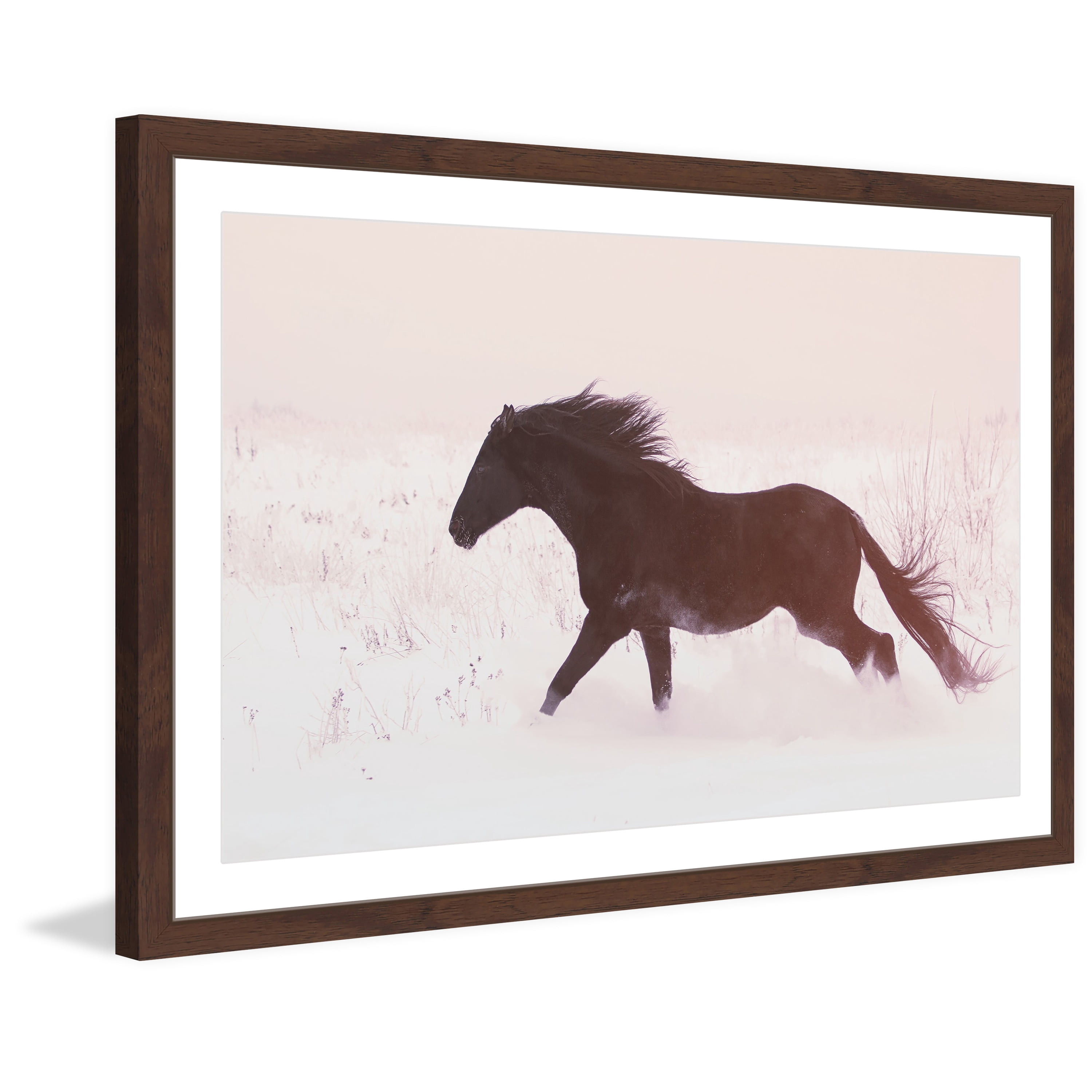 Marmont Hill "Black Beauty Gallops" Framed Painting Print