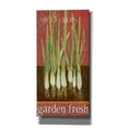 thumbnail image 1 of Epic Graffiti 'Green Onions' by Jadei Graphics, Canvas Wall Art, 12"x24", 1 of 8