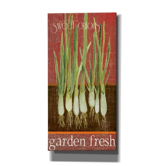 Epic Graffiti 'Green Onions' by Jadei Graphics, Canvas Wall Art, 12"x24"