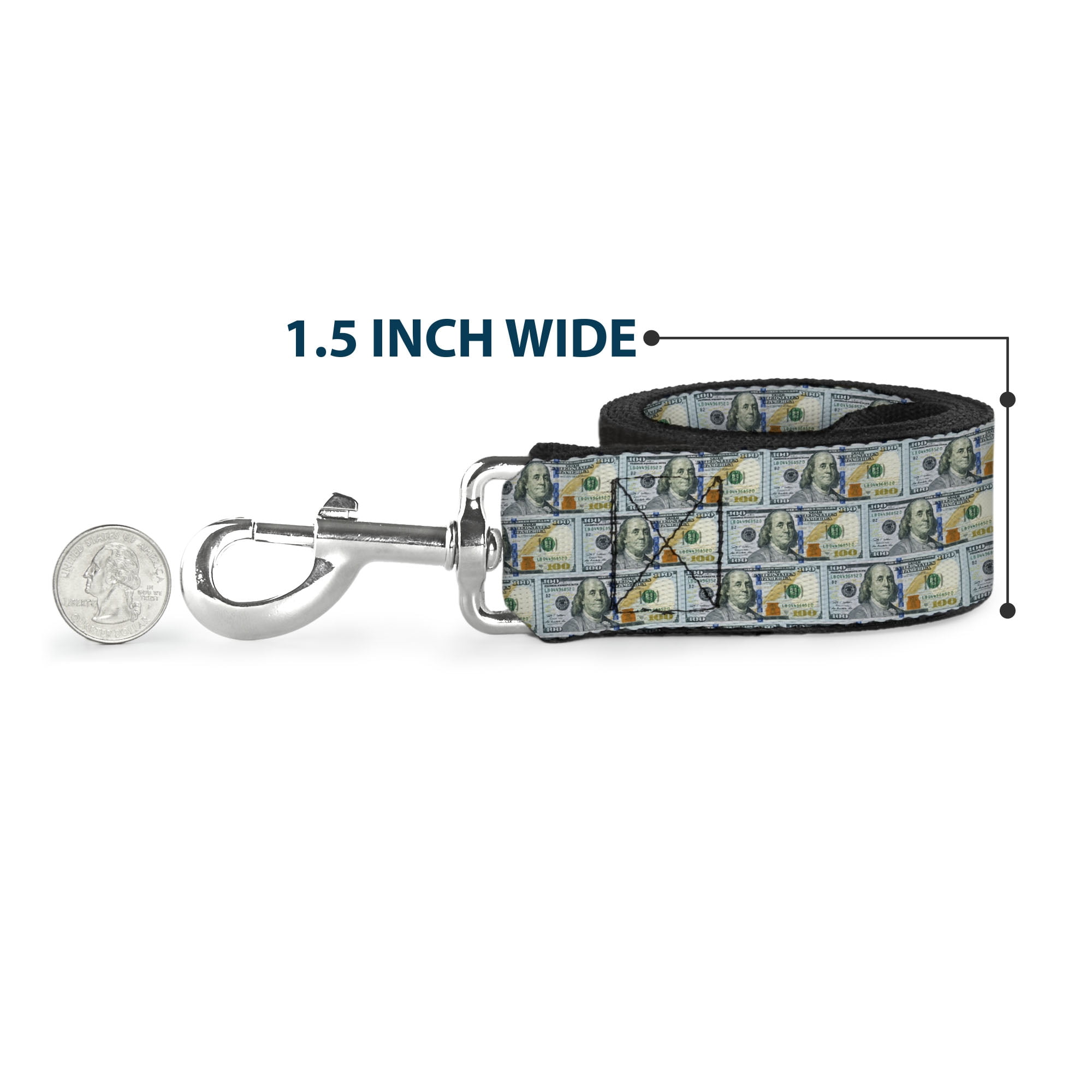Buckle-Down Pet Leash, Dog Leash, 100 Dollar Bill Series 2009 Repeat, 6 Feet Long 1.0 Inch Wide