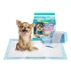 thumbnail image 1 of Pañal Almohadillas De Entrenamiento Para Perros Y Gatos Pet King Products 50pz Talla Mediano 45 cm x 60 cm, 1 of 2